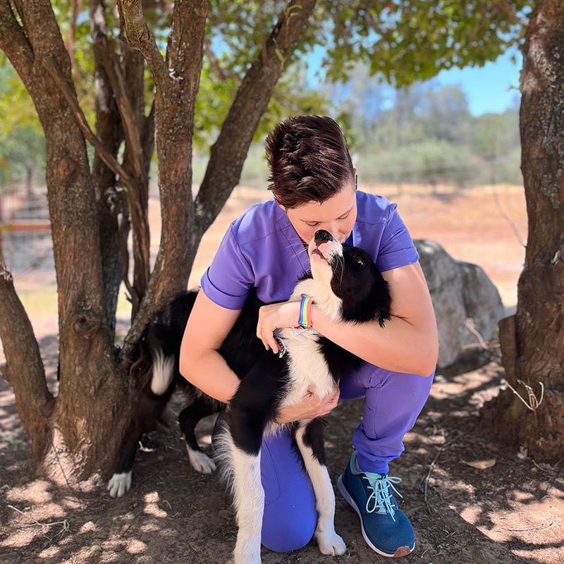 Dr. Lauren Hobstetter with Grommet the dog