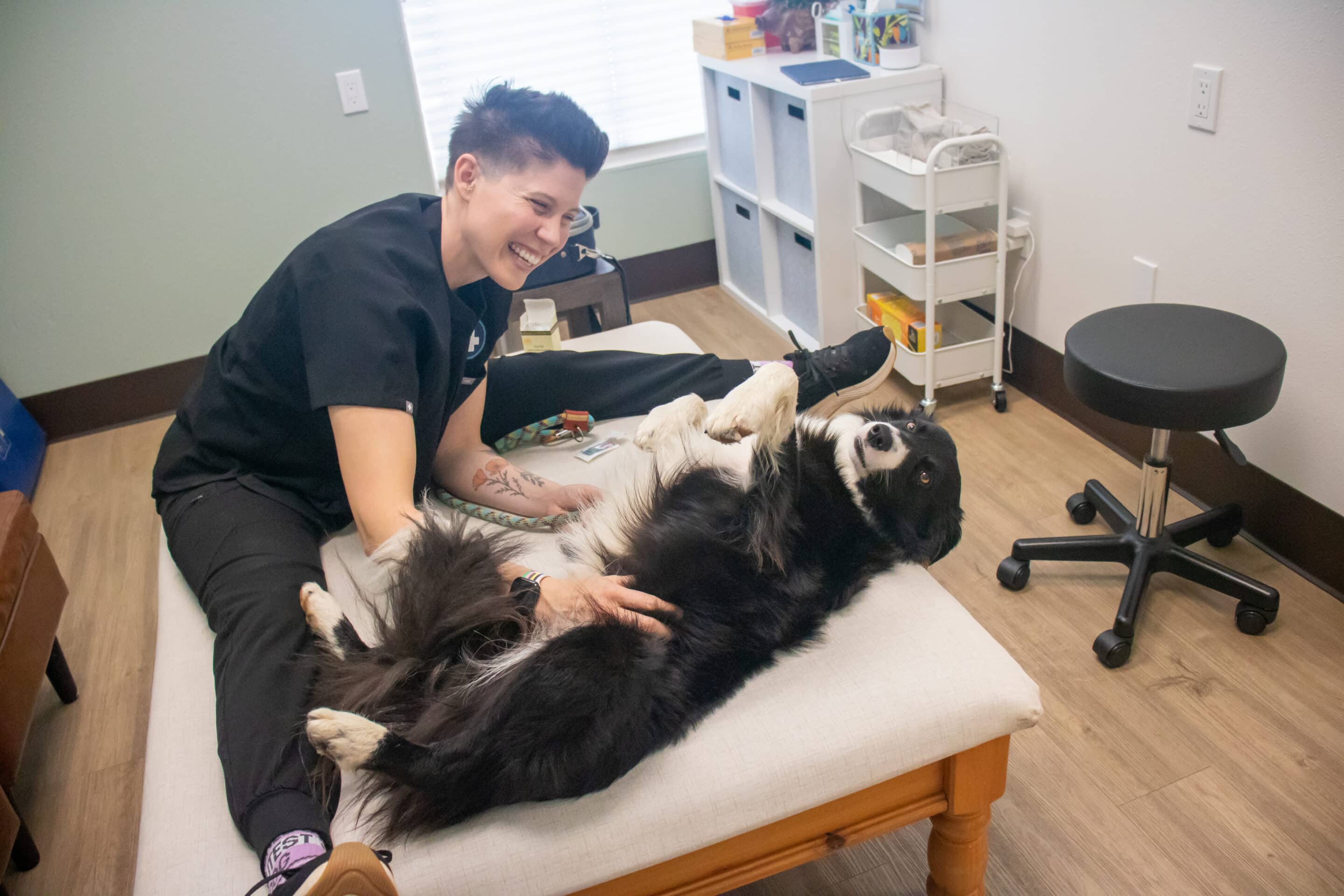 Dr. Jules laughing with a dog at 4 Paws Veterinary Group in Angels Camp, California