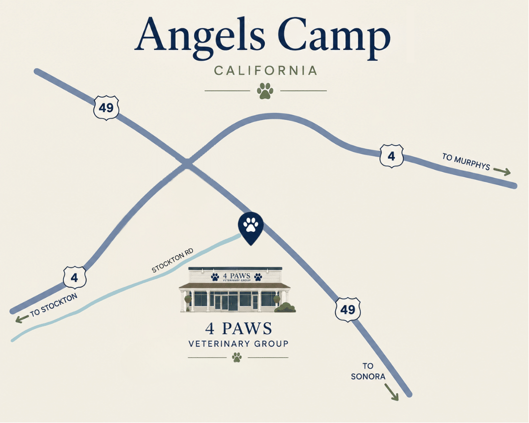 Map showing 4 Paws Veterinary Group in Angels Camp, California, near Highways 4 and 49